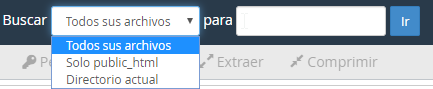 Opciones de búsqueda en el Administrador de archivos de cPanel