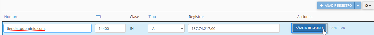 Añadir los valores de un registro DNS en cPanel