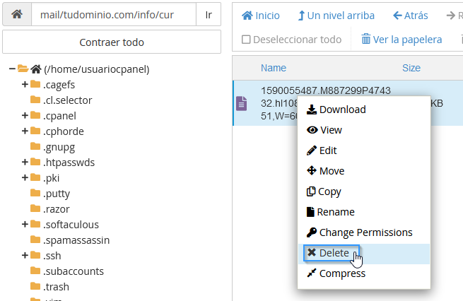 Borrar correos del servidor desde el Administrador de archivos de cPanel