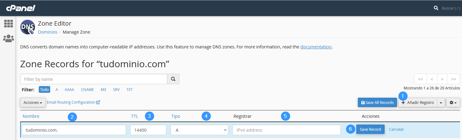 Agregar registro A en cPanel