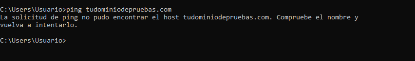 Hacer ping a un dominio