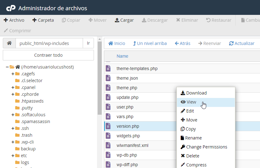 Acceso al archivo version.php de WordPress