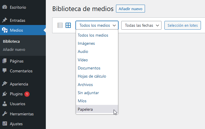 Acceder a la papelera de la biblioteca de medios