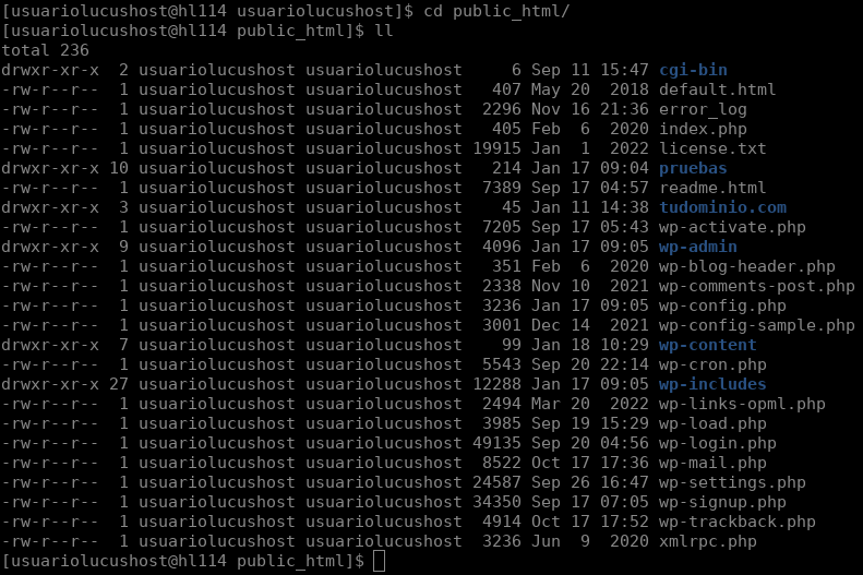 Acceder al /public_html a través de WP-CLI