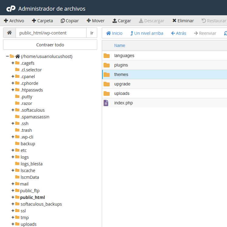 Directorio /wp-content/themes de WordPress