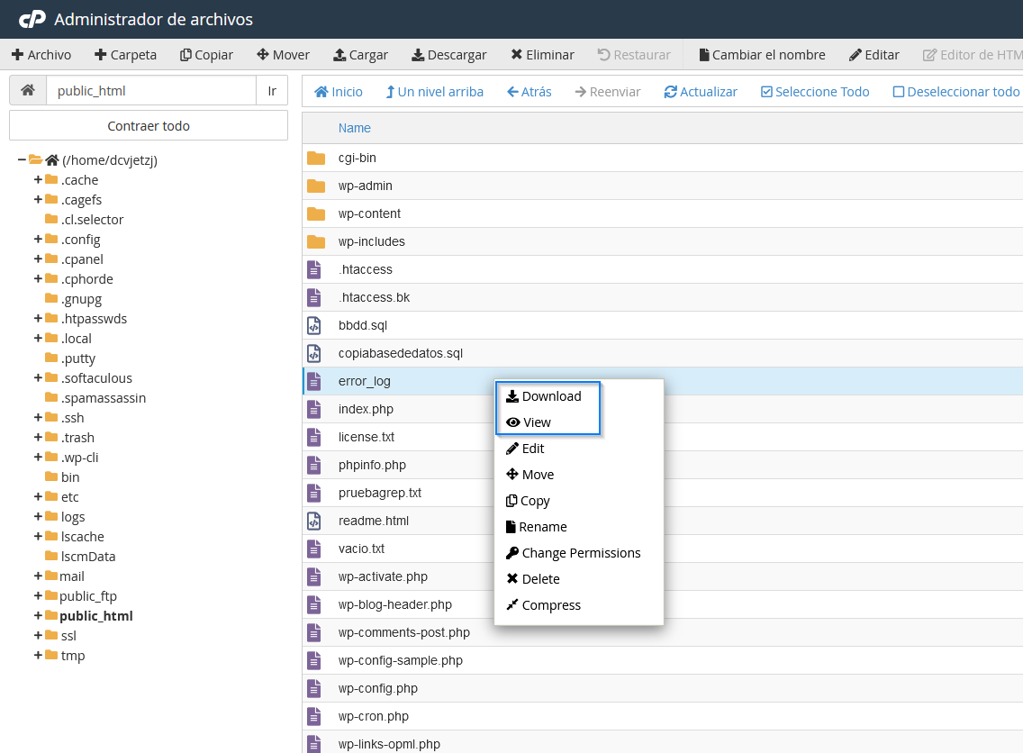 Ver o descargar el fichero error_log de WordPress