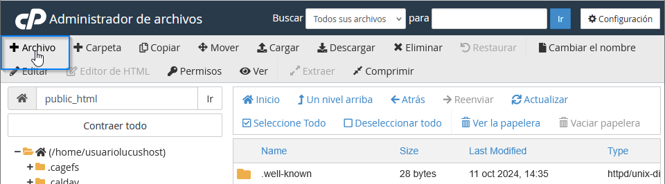 Crear archivo en el public_html