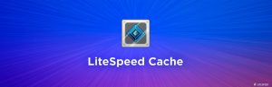 litespeed cache plugin Litespeed Cache plugin