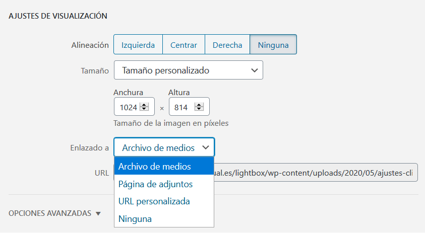 Cómo enlazar una imagen al archivo de medios de WordPress