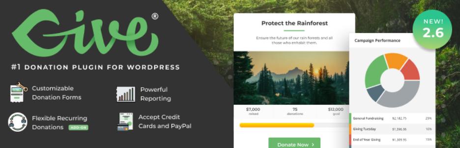 Plugin de donaciones para WordPress Give