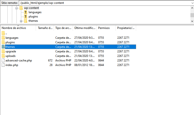 Acceder a la carpeta de temas a través de FTP