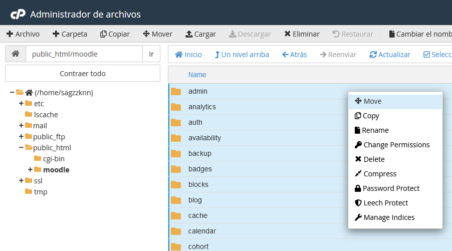 Mover archivos al public_html a través del Administrador de archivos de cPanel
