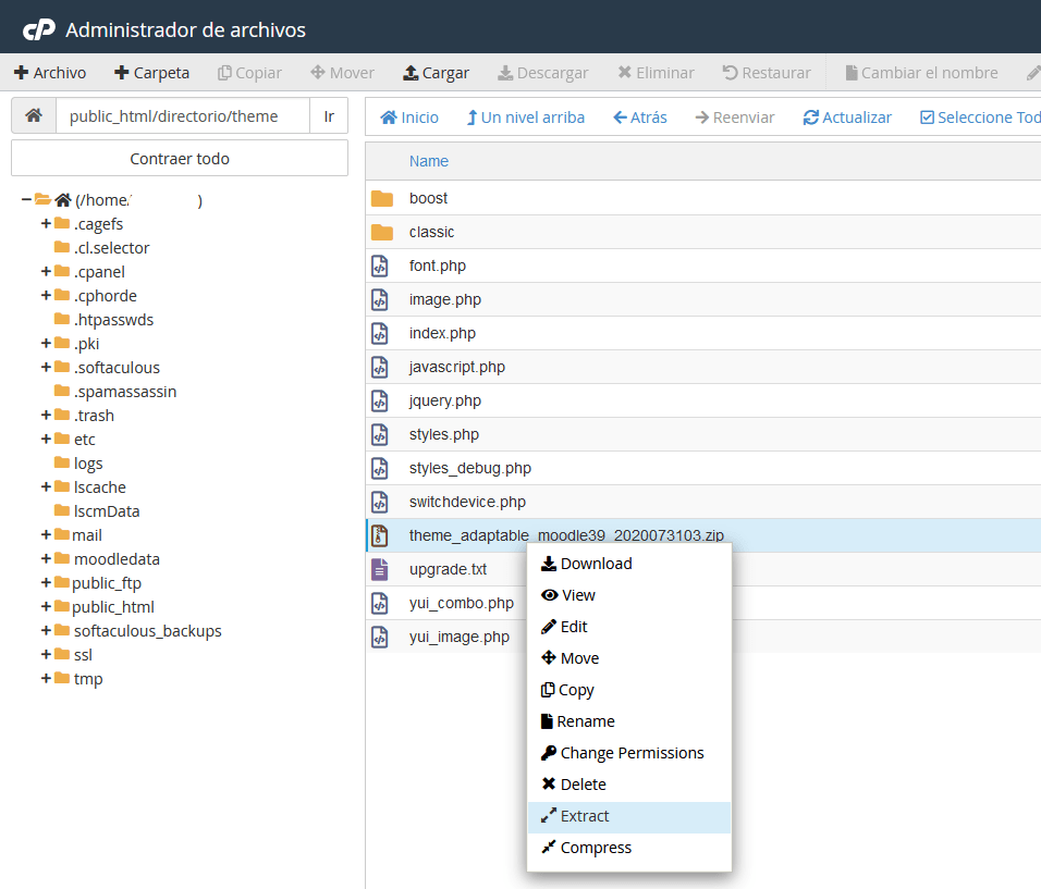 Extraer un tema de Moodle con el Administrador de archivos de cPanel