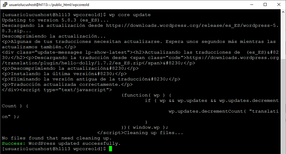 Comando de WP-CLI para actualizar el núcleo de WordPress