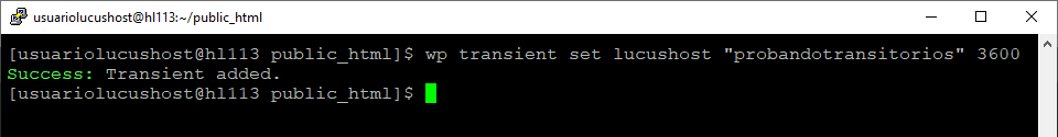 comando wpcli transitoria establecer