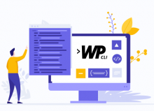 Guía WP-CLI: Gestiona WordPress desde la terminal