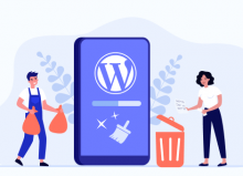 Cómo borrar la caché en WordPress