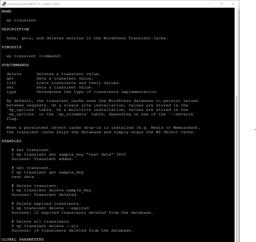 Comando de WP-CLI para obtener las opciones para gestionar los datos transitorios de WordPress