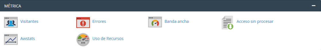 Sección de Métrica de cPanel