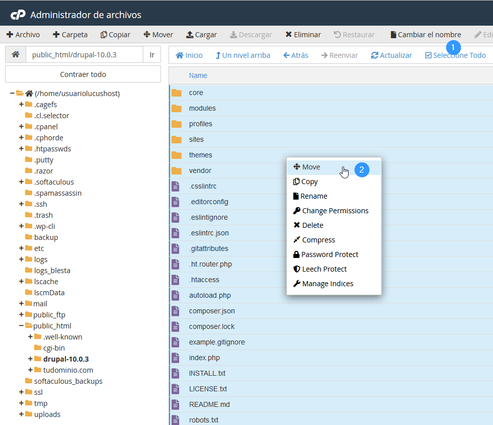 Mover contenido con el Administrador de archivos de cPanel