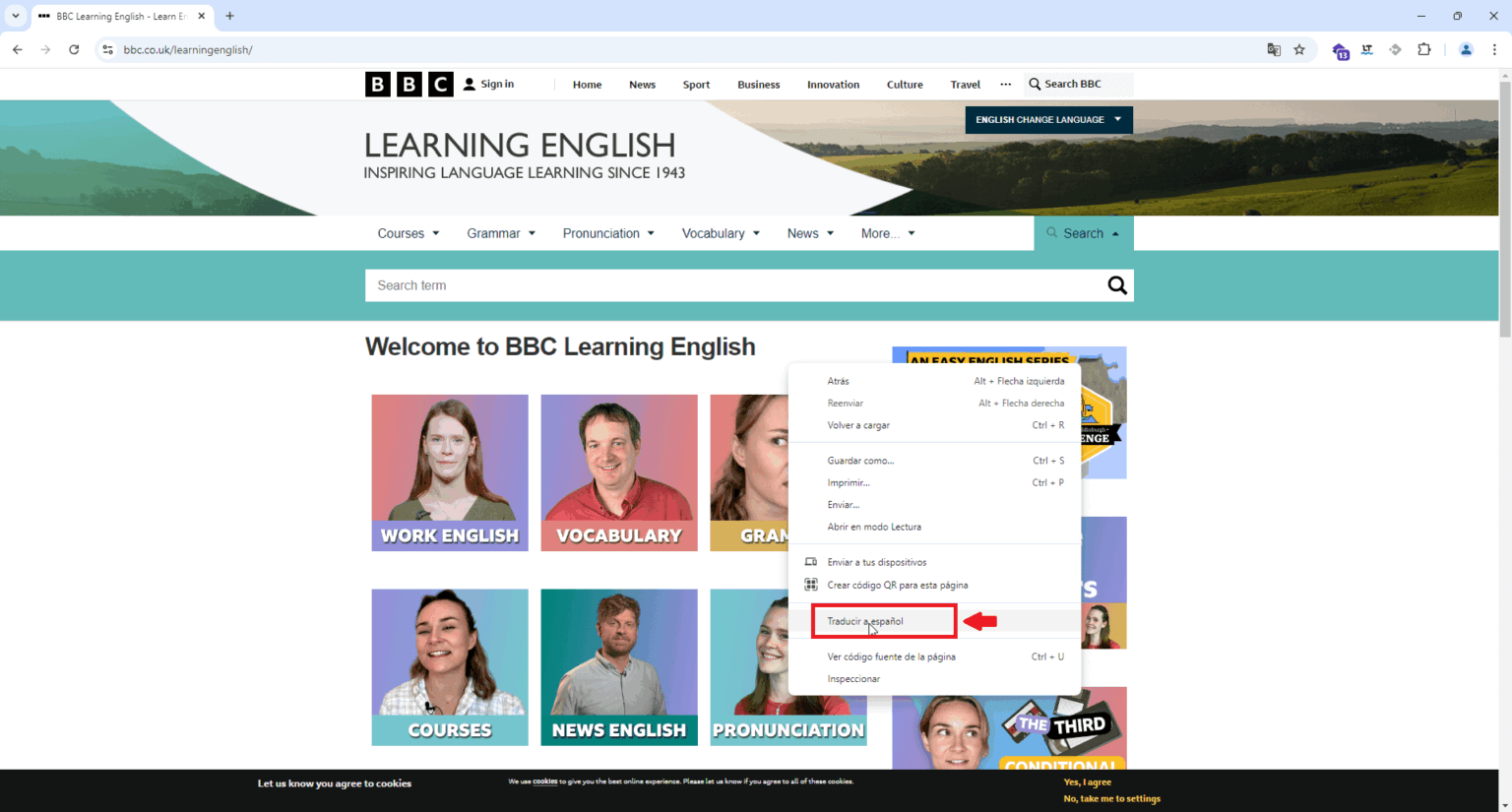 TRADUCIR WEBSITE visual data 3
