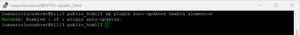 WP CLI enable plugin