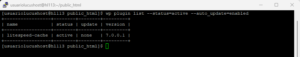 WP-CLI auto_update