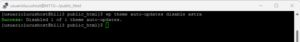 Desactivar tema WP CLI