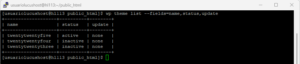 Temas en WP CLI WordPress