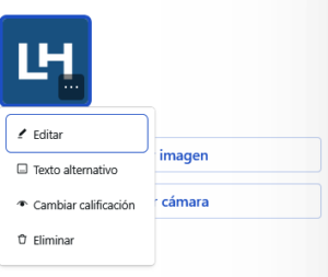 Texto alt en Gravatar