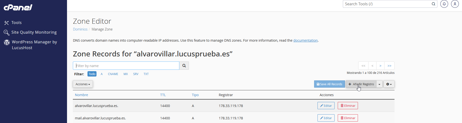 Añadir registro DNS