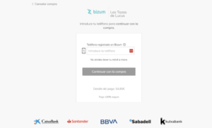 Prueba de Bizum en WooCommerce
