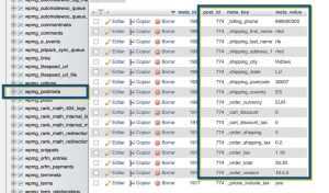 wp_postmeta en WordPress