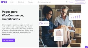 Metodos de pago WooCommerce Métodos de pago WooCommerce